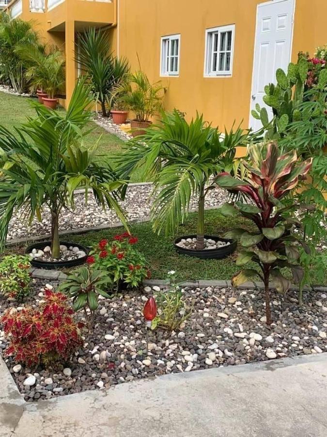 Modrians Bed and Breakfast Runaway Bay Buitenkant foto