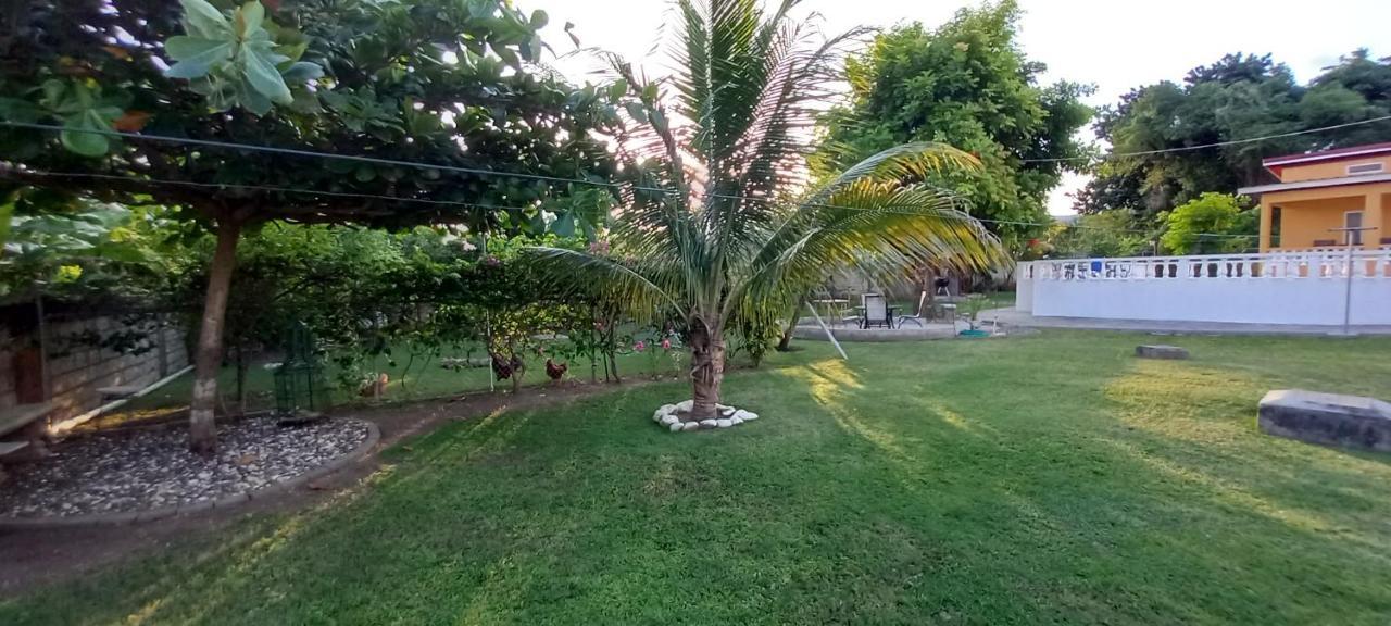 Modrians Bed and Breakfast Runaway Bay Buitenkant foto